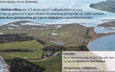 Skytte søges til øen Egholm